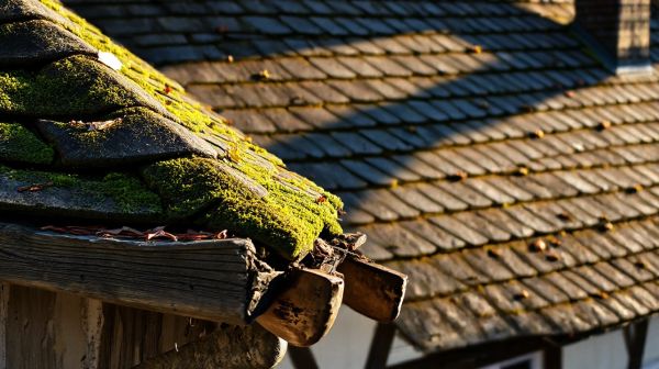 Les meilleures solutions pour un nettoyage de toiture réussi à Rezé